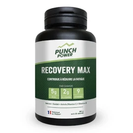 Complément Recovery Max Fruité (280g)
