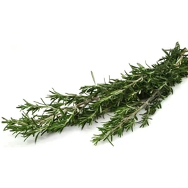Romarin (20g)