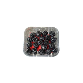 Mûres (125g)