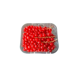 Groseilles (125g)