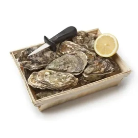 Huitres Fines de Bretagne N°3 Ouverture Facile