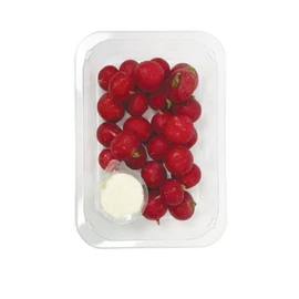 Radis Rond Apéro (300g)