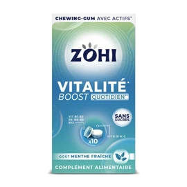 Complément Alimentaire Vitalité Boost Qutidien à la Menthe Fraiche (20g)