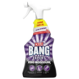 Nettoyant Ménager EXPERT ANTI-MOISISSURE (1l)
