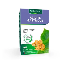 Complément alimentaire Acidité Gastrique Orme Rouge et Zinc (x40)