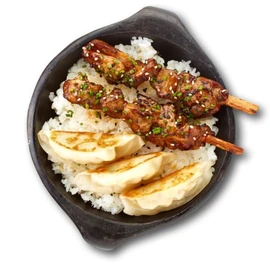Brochettes poulet yakitori et gyoza (340g)