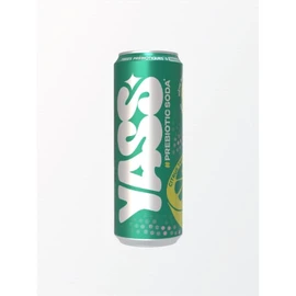 Soda Saveur Citron et Citron Vert (33cl)