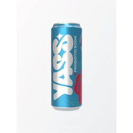 Soda Saveur Fruits Rouges et Myrtille (33cl)