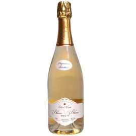 Champagne brut Blanc de Blanc (75cl)