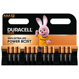 Pile Alcaline Plus Powerboost AAA/LR03 - Le lot de 12