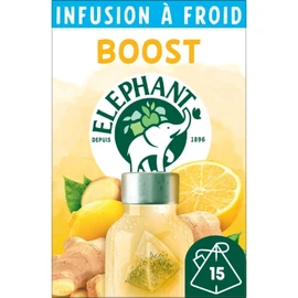 Infusion à Froid Gingembre Citron Bien-être Sans Sucres (x15)