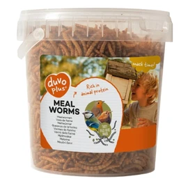 Vers de Farine (200g)