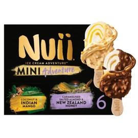 Glace Mini Bâtonnet Indian Mango & New Zeland Honey (x6)