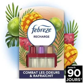 Recharge Désodorisant Electrique Fruits Exotiques (x3)