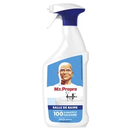 Nettoyant Ménager Salle de Bains Febreze Fraîcheur (800ml)