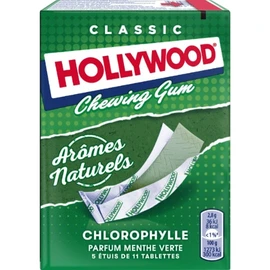 Chewing gum regular chlorophylle (x5)