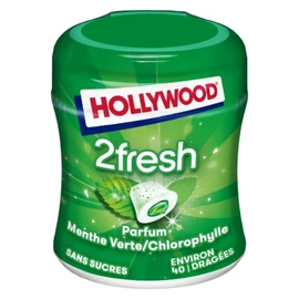 Chewing gum menthe verte chlorophylle sans sucres (x40)