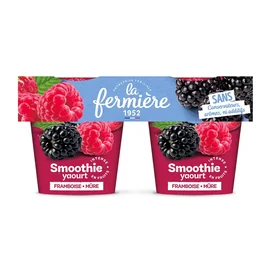 Yaourt Smoothie Framboise Mûre (2x140g)