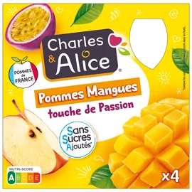 Compote Pomme Mangue Passion Sans Sucres Ajoutés (4x90g)