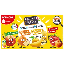 Compote Panaché Pomme Abricot Banane Fraise Sans Sucres Ajoutés (12x90g)