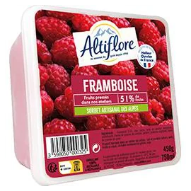 Sorbet en Bac Artisanal des Alpes Framboise Meilleur Ouvrier de France (750ml)