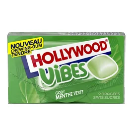 Chewing-gum Goût Menthe verte (21g)