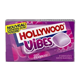 Chewing-gum Goût Framboise (21g)