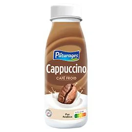 Café froid Cappuccino (25 cl)