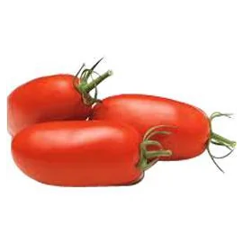 Tomate ALLOONGEE zéro résidu de pesticide (600g)