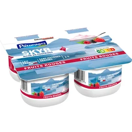 Skyr fruits rouges riche en protéines sans matières grasses (100g)